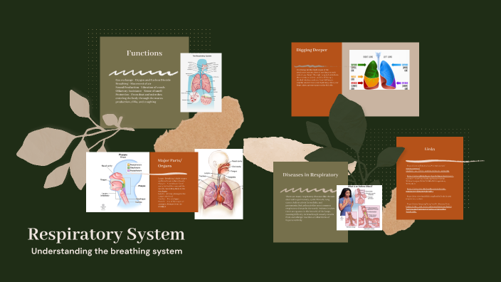 Respiratory System by Carlie McMillian on Prezi