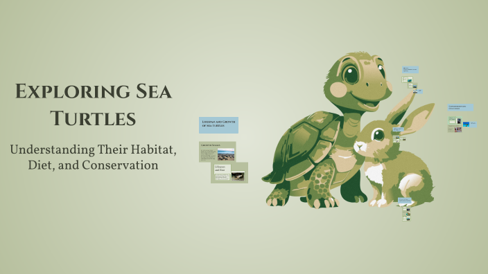 Exploring Sea Turtles by Meme Meme on Prezi