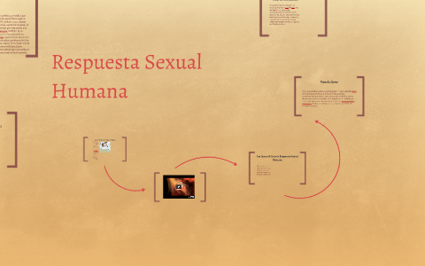 Respuesta Sexual Humana by on Prezi