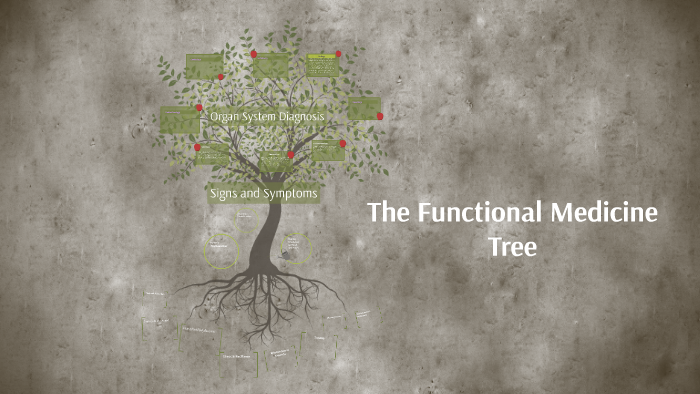 The Functional Medicine Tree by Azriel Sarsozo on Prezi