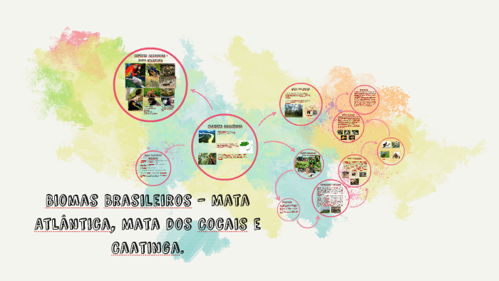 Biomas Brasileiros by Karen Aline F on Prezi