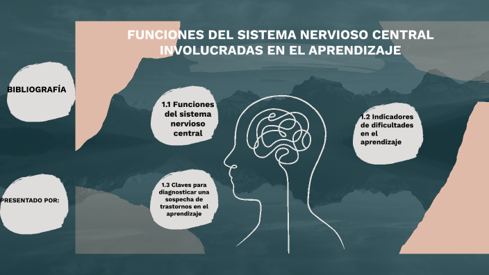 Funciones del sistema nervioso central involucradas en el aprendizaje ...