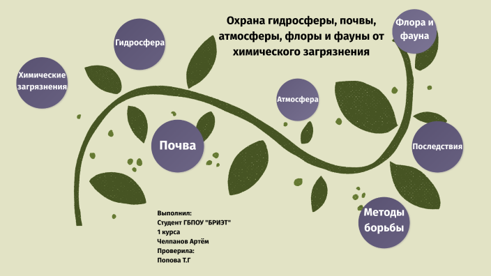 Охрана флоры и фауны от химического загрязнения презентация