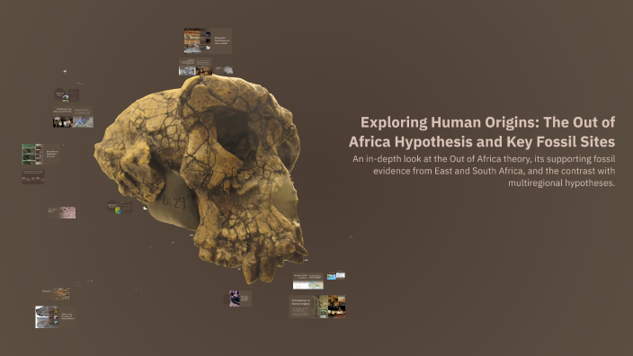Exploring Human Origins: The Out of Africa Hypothesis and Key Fossil ...