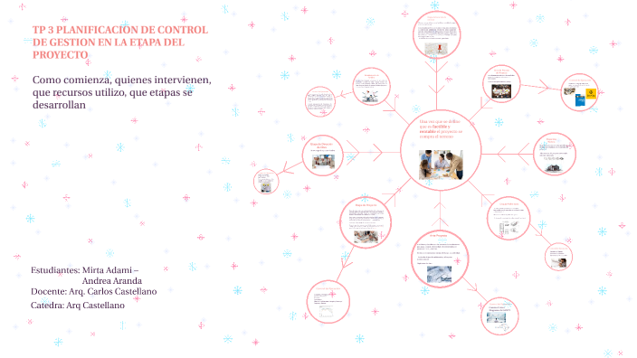 PLANIFICACION DE CONTROL DE GESTION EN LA ETAPA DEL PROYECTO by mirta ...