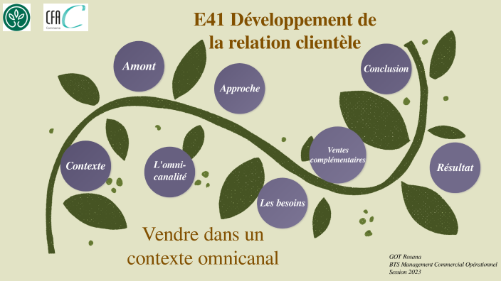 VENDRE DANS UN CONTEXT OMNICANAL By Rosana GOT On Prezi