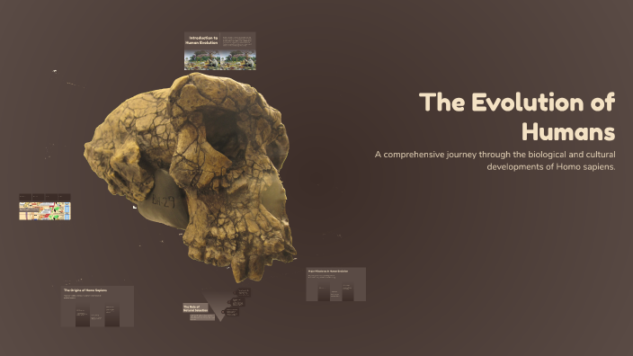 The Evolution of Humans by vidya joshi on Prezi