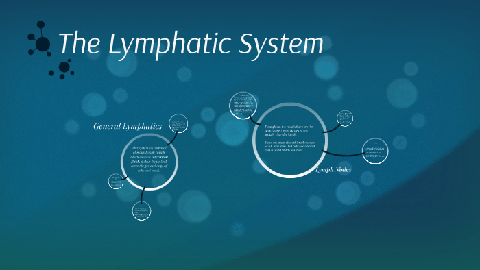 The Lyphatic System by Matthew Nakamura on Prezi