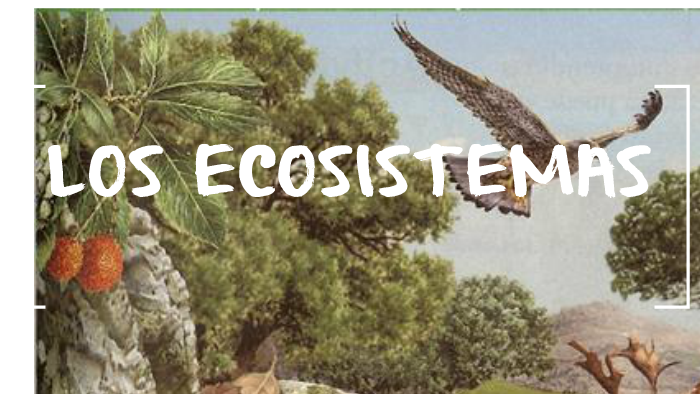 LOS ECOSISTEMAS by manuel cabrera on Prezi