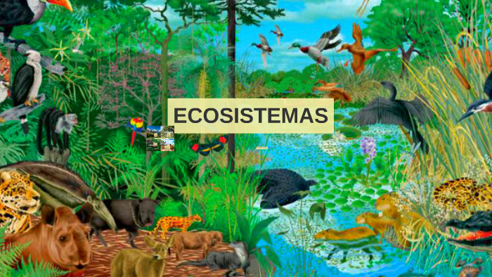 ECOSISTEMAS by michael campoverde