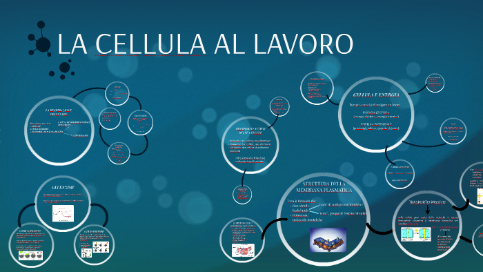 LA CELLULA AL LAVORO by sara zabeo on Prezi