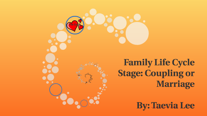 family-life-cycle-stage-by-taevia-lee