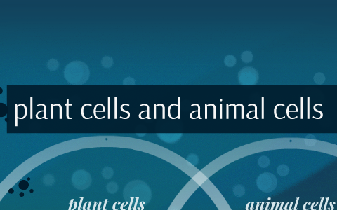 plant cells and animal cells by kyliah hill pitre on Prezi