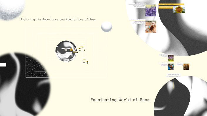 Fascinating World of Bees by George Test on Prezi