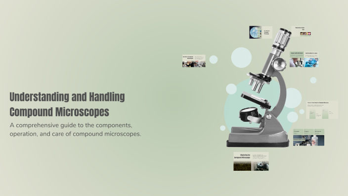 Understanding and Handling Compound Microscopes by rhoyet braganza on Prezi