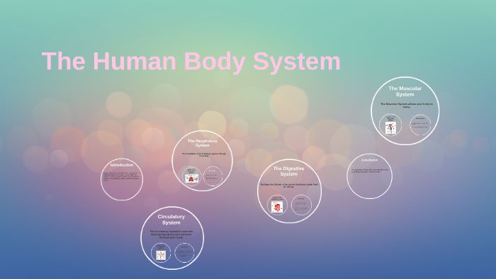 The Human Body by CB King on Prezi