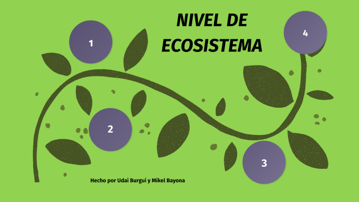 Nivel de Ecosistema by Mikel Bayona on Prezi