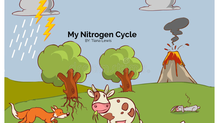 Nitrogen Cycle by TIANA LEWIS on Prezi