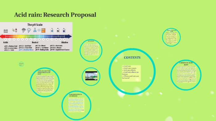 acid rain research paper