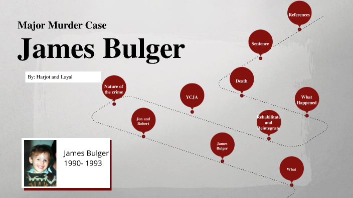 james bulger case study