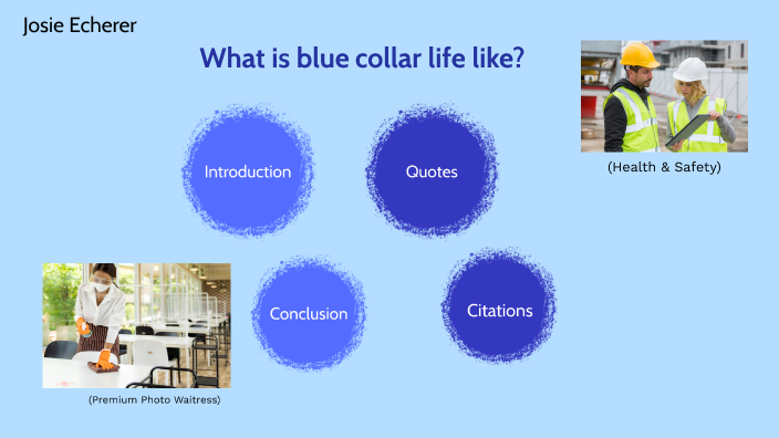 blue collar brilliance discussion questions
