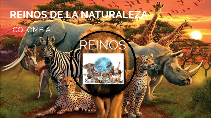 reinos de la naturaleza by Fabian Andres Suarez on Prezi