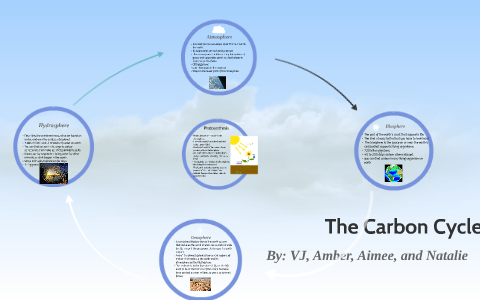 The Carbon Cycle by Amber Conder on Prezi