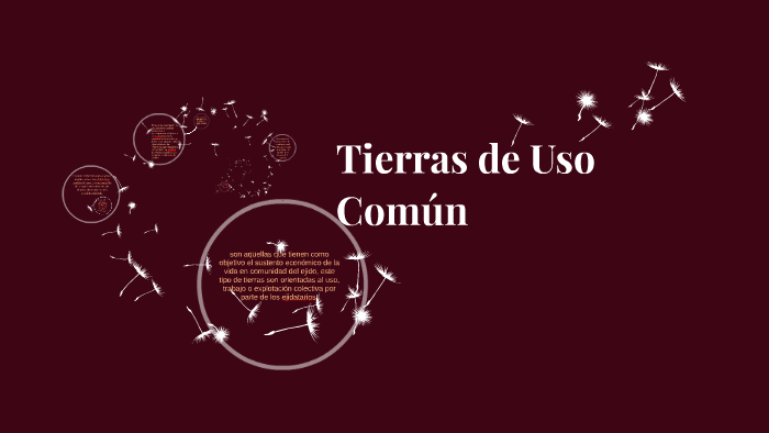 Tierras de Uso Común. by milly vega medina on Prezi