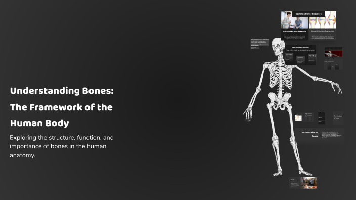 Understanding Bones: The Framework of the Human Body by Yokeshwaran ...