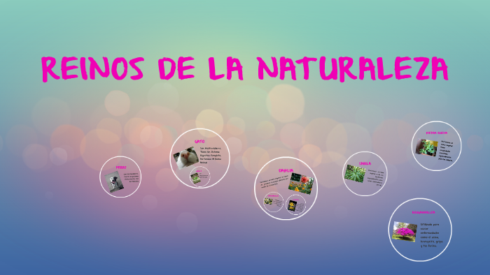 REINOS DE LA NATURALEZA by maria alejandra gomez muñoz on Prezi