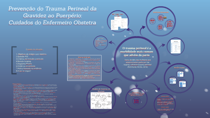 Prevencao Do Trauma Perineal Da Gravidez Ao Puerperio Inter By Liliana Gouveia