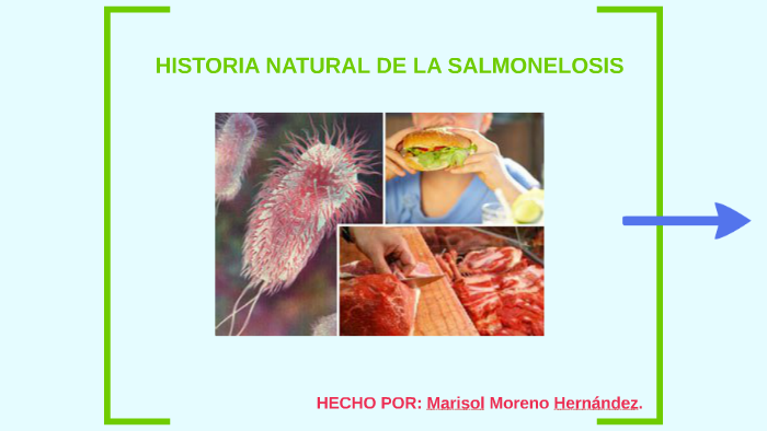 HISTORIA NATURAL DE LA SALMONELOSIS by Marisol Moreno Hernández on Prezi