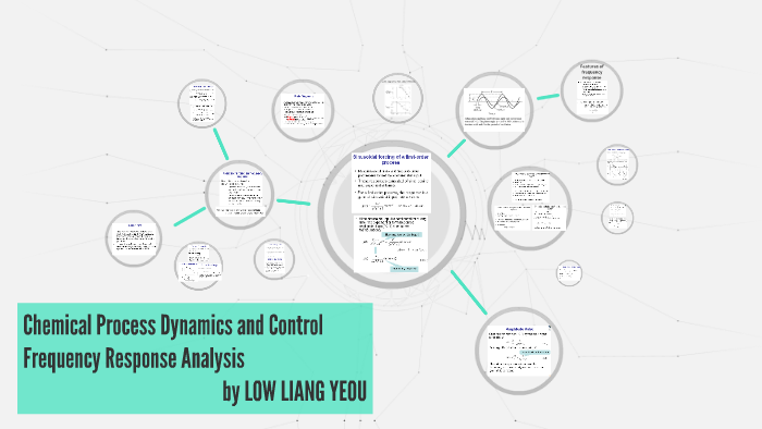 Chemical Process Dynamics and Control by Liang Low