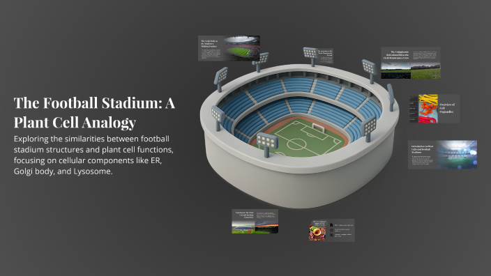 The Football Stadium: A Plant Cell Analogy by Brooklyn Szalno on Prezi