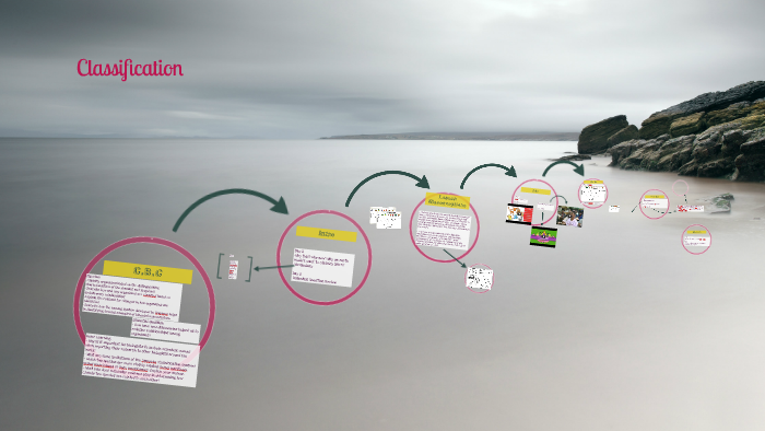 Classification by on Prezi