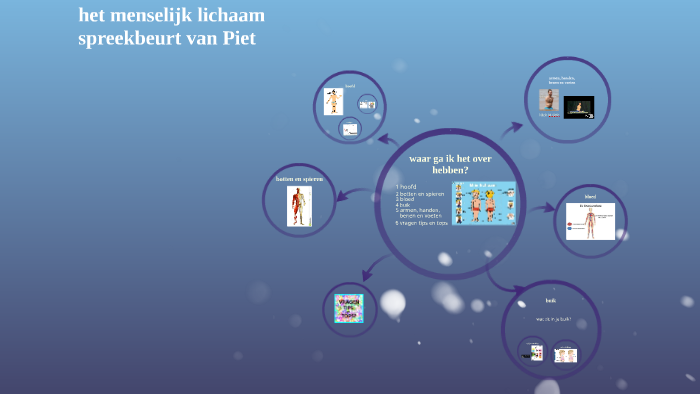 het menselijk lichaam by Astrid van de Kerkhof on Prezi