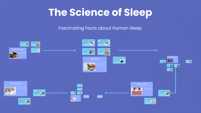 The Science of Sleep by Данііл Данііл on Prezi
