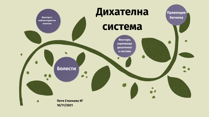 Хигиена на дихателната система by Петя Стоянова on Prezi