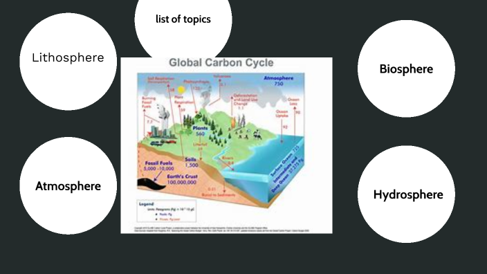 The Carbon Cycle by Sam Moffatt on Prezi