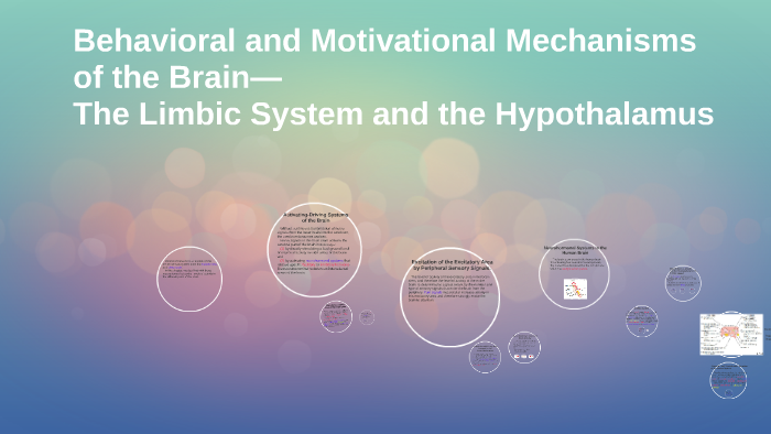 Behavioral And Motivational Mechanisms Of The Brain—The Limb By TZU ...