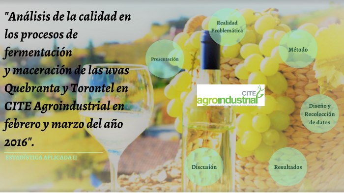 ANÁLISIS DE LA CALIDAD by Mayte Pachas on Prezi