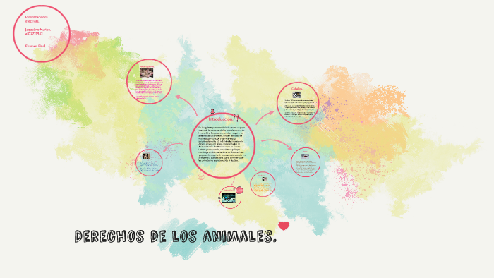 Derechos de los animales. by Jaqueline Muñoz on Prezi