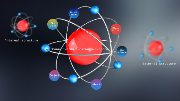 Хүний биеийн анатоми физиологи by Orxon Uka on Prezi Next