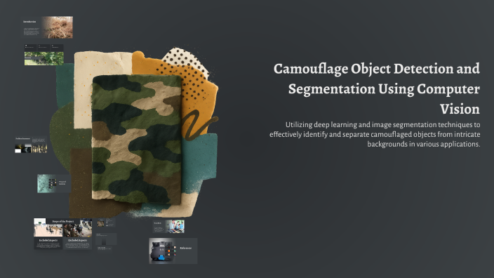 Camouflage Object Detection and Segmentation Using Computer Vision by ...