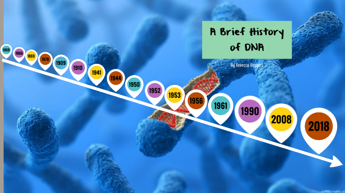 the-history-of-dna-by-rebecca-oeggerli