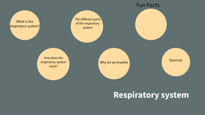 Body systems-Respiratory system by Jovana Rankovic on Prezi