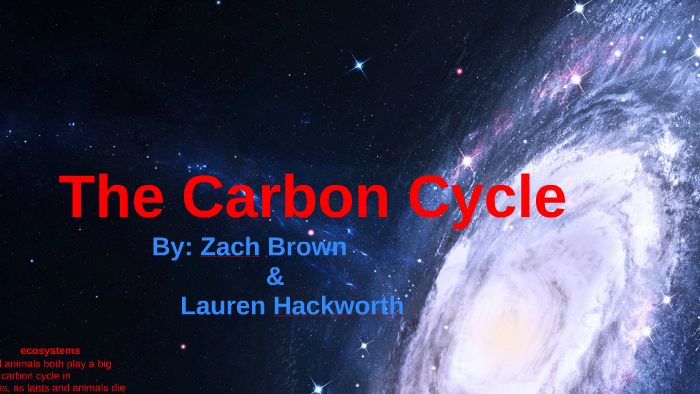 The Carbon Cycle by Zach Brown on Prezi