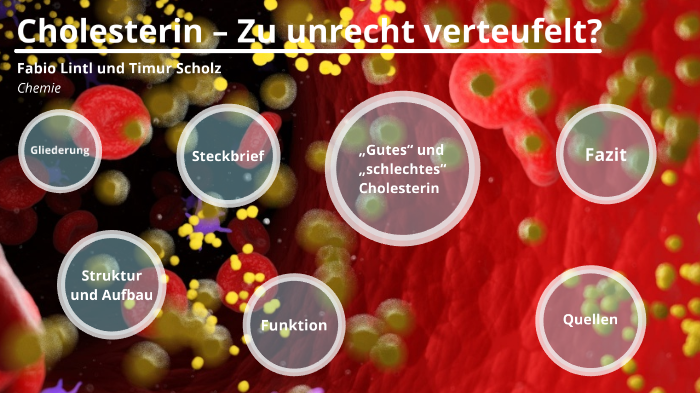 Cholesterin Strukturformel