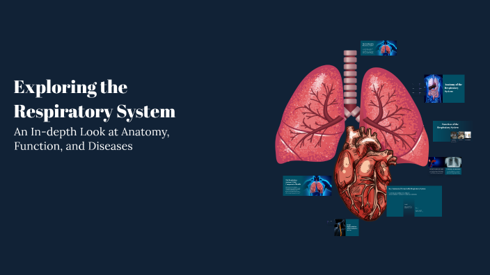 Exploring the Respiratory System by Nevaeh Kinsey on Prezi