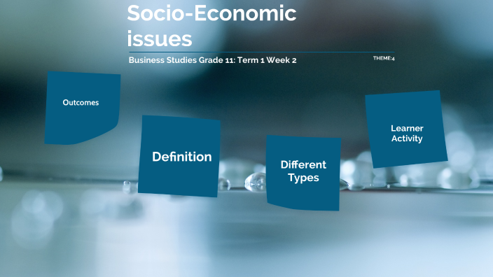 socio economic issues business essay